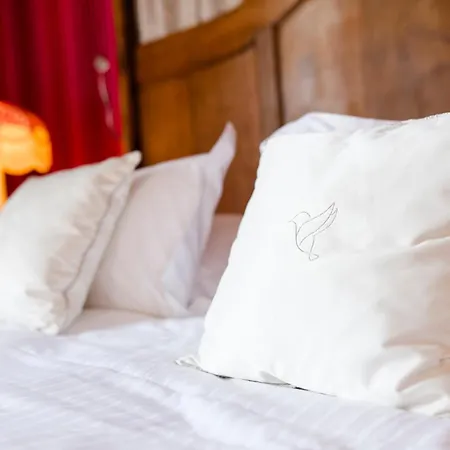 Hotel Chateau Du Boisniard